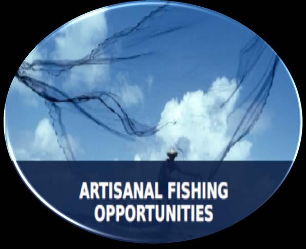 Objetivos de la meta: Oportunidades de Pesca Artesanal Enfoque en el uso sostenible de los recursos pesqueros artesanales.