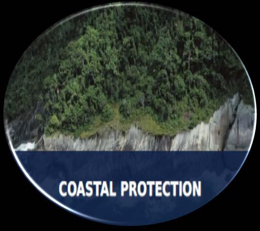 Enfoque en la protección del hábitat (manglares y corales).