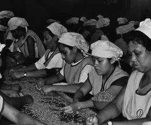 La abolición efectiva del trabajo infantil. La eliminación de la discriminación respecto del empleo y la ocupación.