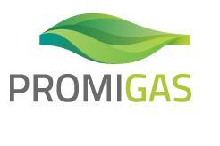 Portafolio de Inversiones: Energía y Gas El pasado 18 de febrero el Grupo de Generadores Térmicos (GT) escogió a SPEC proponente liderado por