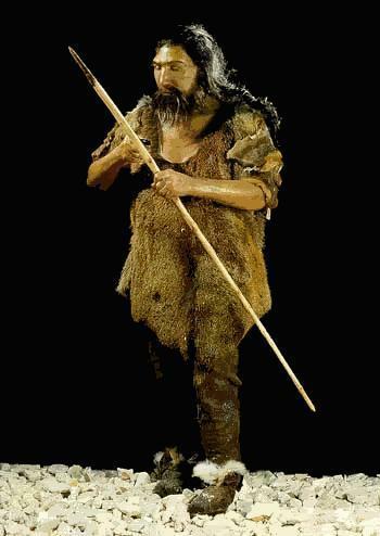 Homo neanderthalis (230
