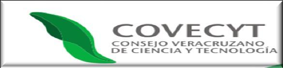 00 2 Determinación de la respuesta dinámica de los suelos de las zonas conurbadas de Coatzacoalcos y Veracruz, para el desarrollo de Normas Técnicas para Diseño sísmico del estado de