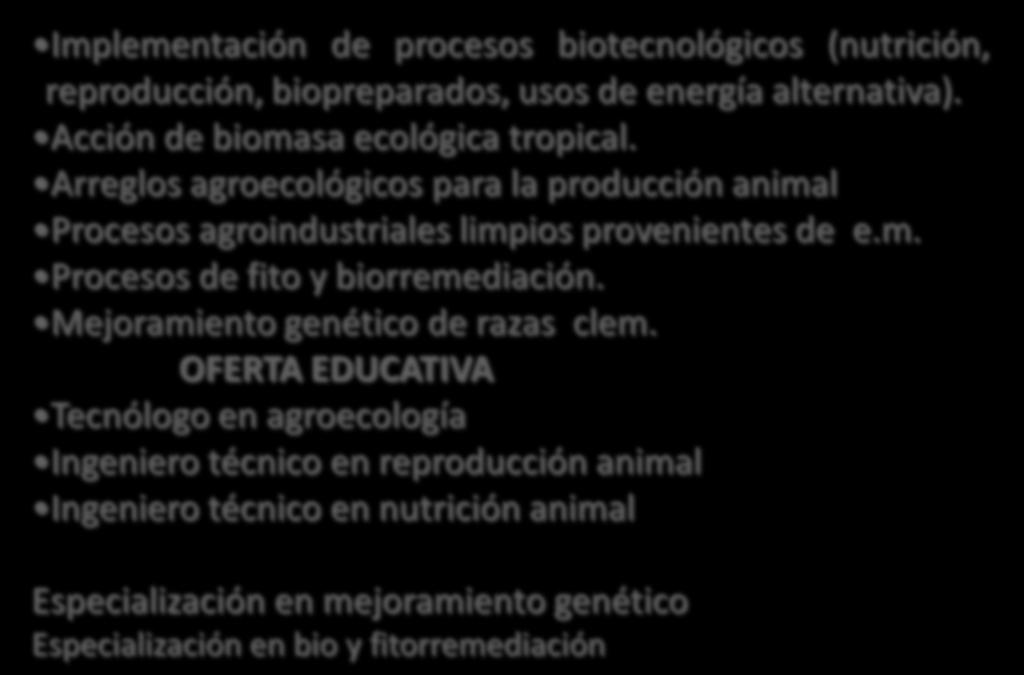 PRODUCCIÓN Y TRANSFORMACIÓN Implementación de procesos biotecnológicos (nutrición, reproducción, biopreparados, usos de energía alternativa). Acción de biomasa ecológica tropical.