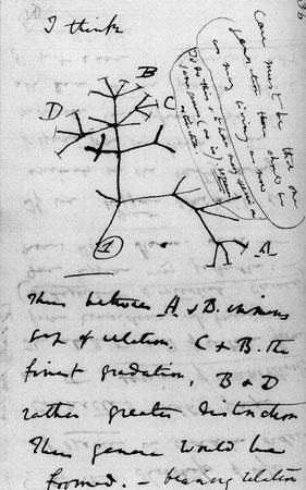 El primer árbol filogenético?