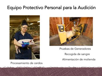 Estos son algunos ejemplos de las tareas durante las que se debe usar protección auditiva: Alimentación Lavado a
