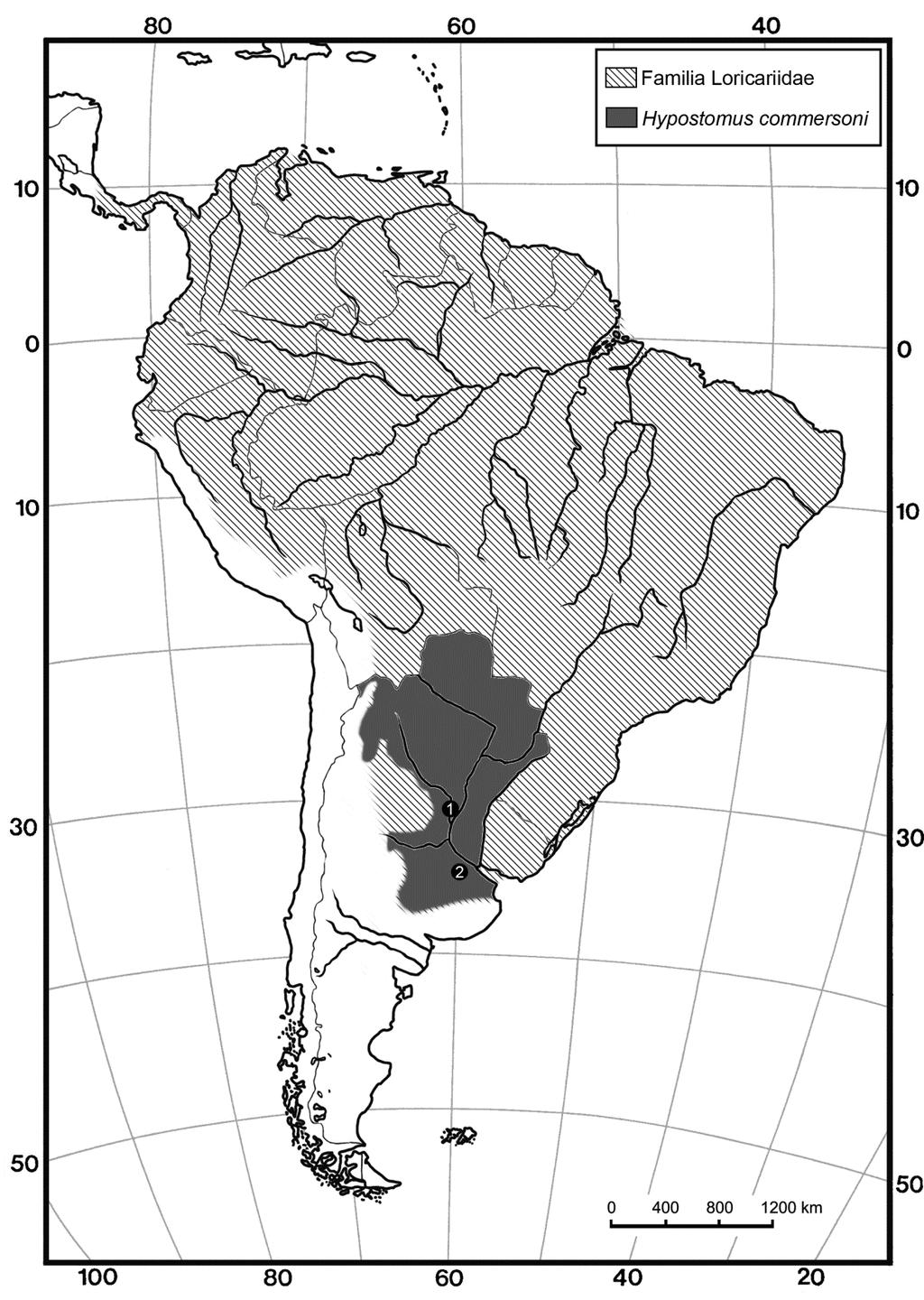 Amazonia, Lundberg (1997) ha identificado a cf. Acanthicus y cf. Hypostomus sp. en sedimentos miocenos del grupo La Venta en Colombia (Lundberg, 1997). Cione et al. (2005b) reporta Loricariidae indet.