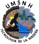 Universidad Michoacana de San Nicolás de Hidalgo Facultad de Ingeniería en Tecnología de la
