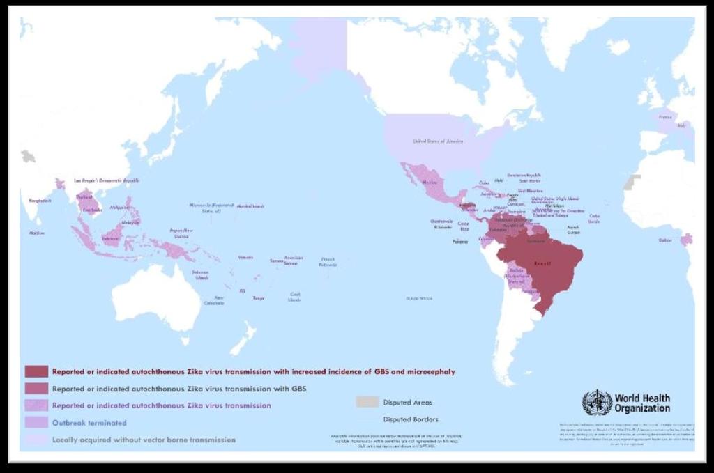 Figura 3. Los países, territorios y áreas que han informado virus Zika, microcefalia y el síndrome de Guillain-Barré *, 2007-2016.