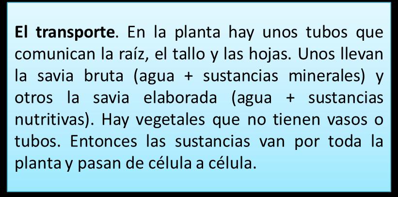 Las plantas necesitan luz para respirar ( ) ( ) b. Las plantas no respiran sin oxígeno.