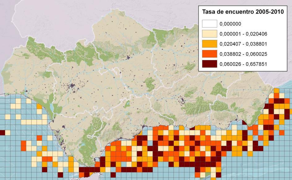 Figura 2: Mapas de riqueza y rareza de cetáceos 2008-2010 Fuente: Programa de Gestión Sostenible Medio Marino - Junta de Andalucía De este modo, el mapa de tasas de encuentro (Fig 3) presenta mayores