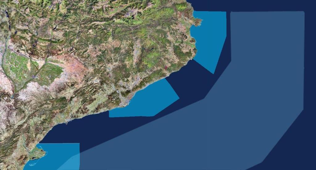 Cataluña, al igual que la Comunidad Valenciana, tiene en las costas de su litoral un paso importante de migración de cetáceos, siendo el rorcual común la especie más habitual (Gazo et al. 2004).