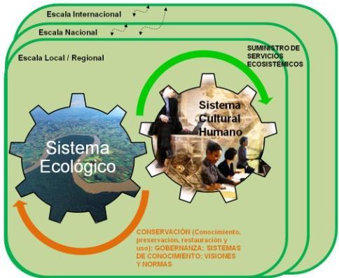 II: Estado actual de la política en Gestión en Biodiversidad MARCO CONCEPTUAL 1. Aproximación socio-ecosistémica. 2.