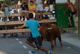 30 h Exhibició de vaques de la ramaderia Ramon Benet Divendres 21 Taller decoratiu FESTES DEL BARRI SANT