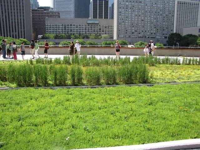 El motivo de usar este tipo de cubiertas no es sólo darle un nuevo perfil a las ciudades, sino respirar un aire más saludable gracias a que las cubiertas vegetales permiten la absorción de CO2,