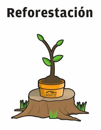 El costo de reforestar? Reforestar una hectárea 1.000 dólares 4.