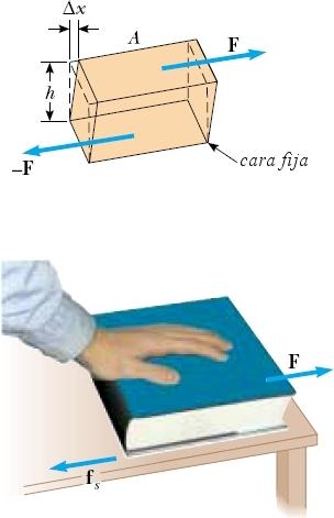 Módulo de corte: elasticidad de la forma S = esfuerzo de corte