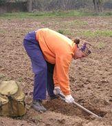 Prácticas de conservación de suelos: identificación y mediciones. Cubierta en contacto con el suelo: cobertura, tipo y espesor. Manifestaciones erosivas observadas. Intensidad de pastoreo.