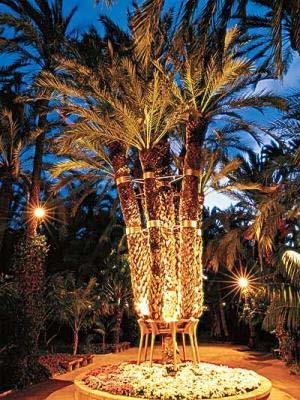 EL VIAJE A LA TRADICIÓN MEDITERRÁNEA Durante la noche del próximo 25 de marzo, en el entorno de un bello huerto de palmeras integrado en el Palmeral de Elche, declarado Patrimonio de la Humanidad por
