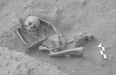 Bernuy LAMBAYEQUE EN SAN JOSÉ DE MORO 59 Figura 7. Ejemplos de tumbas del grupo V, MU-801 y MU-705; Proyecto Arqueológico San José de Moro.