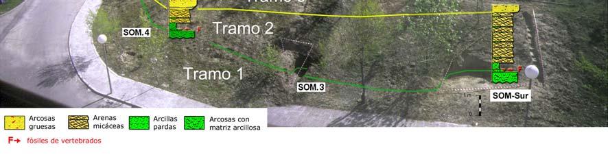 (Minguez Gandú, 2000), estando además la base del T1 situada en la Unidad Intermedia del Mioceno de la Cuenca de Madrid (Junco y Calvo, 1983).