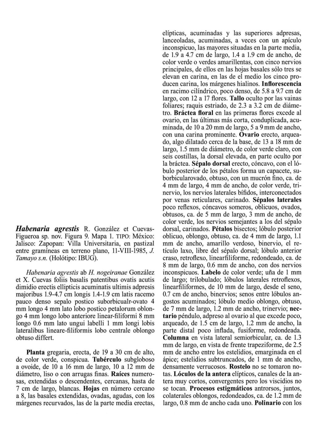 Habenaria agrestis R. González et Cuevas Figueroa sp. nov. Figura 9. Mapa 1.