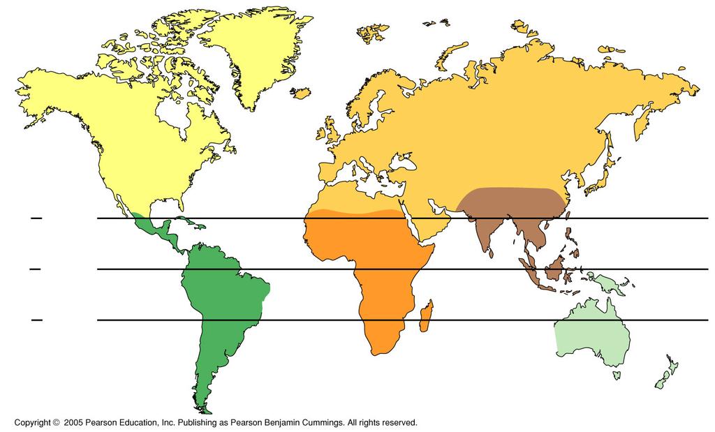 Principales Regiones Biogeográficas continentales del planeta Neártica Paleártica Trópico de Cancer (23.5 N) Ecuador Etiópica Oriental (23.