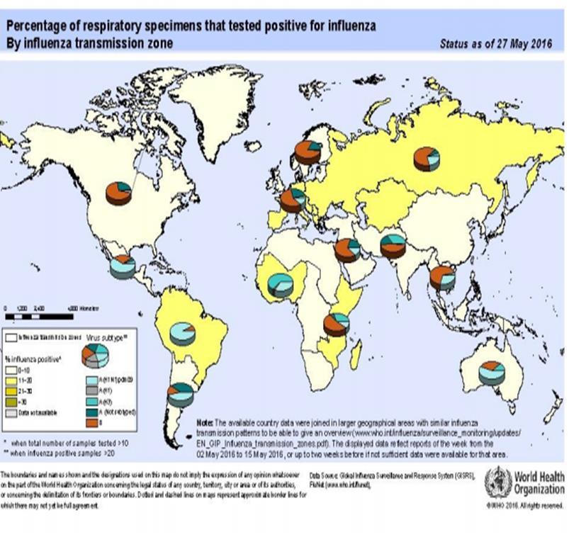 Situación Mundial Hasta Semana Epidemiológica 22 América del Norte: Continúa la disminución en la actividad de influenza.