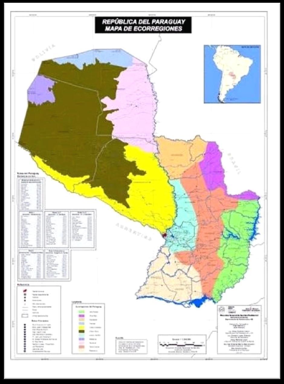 Estrategia Financiera Ecorregión Gs./héctarea Alto Paraná 3.311.404 Amambay 2.188.719 Selva Central 3.751.331 Aquidaban 2.606.