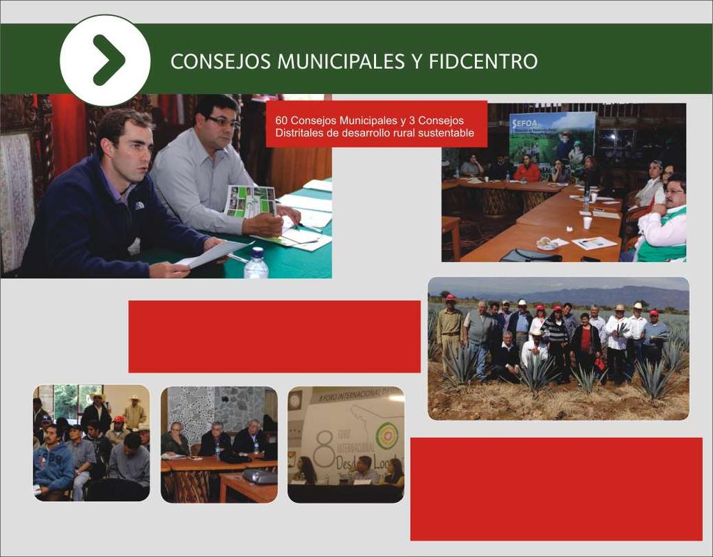Tlaxcala es el coordinador del Comité Técnico Sectorial del FIDCENTRO, integrado por 6 entidades; Hidalgo, Puebla, Tlaxcala, Estado de México, Morelos y el Distrito Federal.