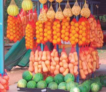 agosto 24 RUTA DEL SOL Y DEL FRUTA Belleza urbana y paisajes naturales donde es posible deleitarse con frutas exóticas como el tamarindo.