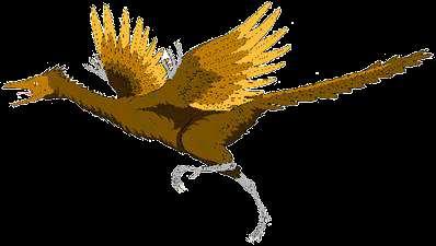 PLUMAS Archeopteryx