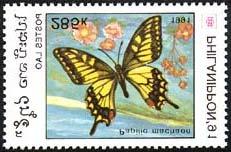 Lepidoptera : Nymphalidae : Sasakia charonda.