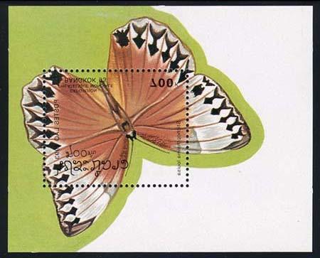 Lepidoptera :