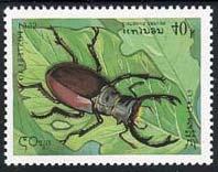 1995 Septiembre 20 : Insects (4 valores) (Y & T 1196-1199)