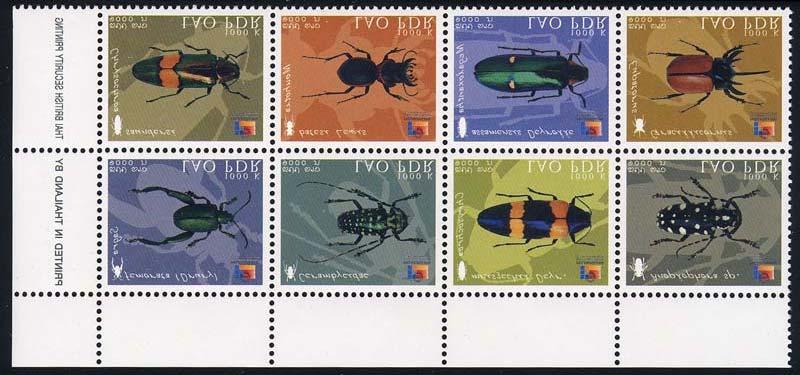 + Coleoptera : Buprestidae : Chrysochroa saundersii + Coleoptera : Carabidae : Mouhotia batesi + Coleoptera : Buprestidae : Megaloxantha assamensis + Coleoptera : Scarabaeidae :