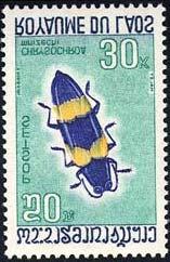 1968 Agosto 28 : Coleoptera (5