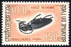 approximator Coleoptera :