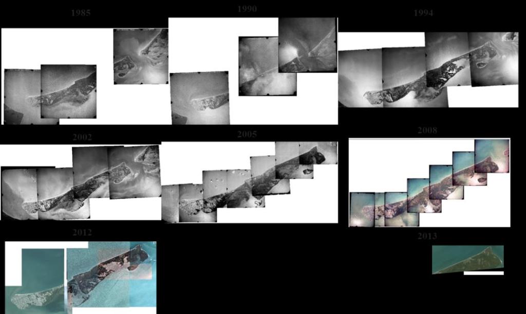 Fecha Tipo de imagen Fuente de datos Cobertura de costa (%) 1985 (Mar) Foto aérea INEGI 79.7 (PK 0-22.9; 28.5-33.5) 1990 (Mar) Foto aérea INEGI 91.4 (PK 0-12.0; 15.3-33.