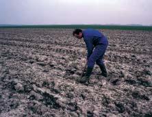 ESTRUCTURA DEL SUELO En un buen lecho de siembra, la proporción de aire, humedad y tierra debe ser óptima.