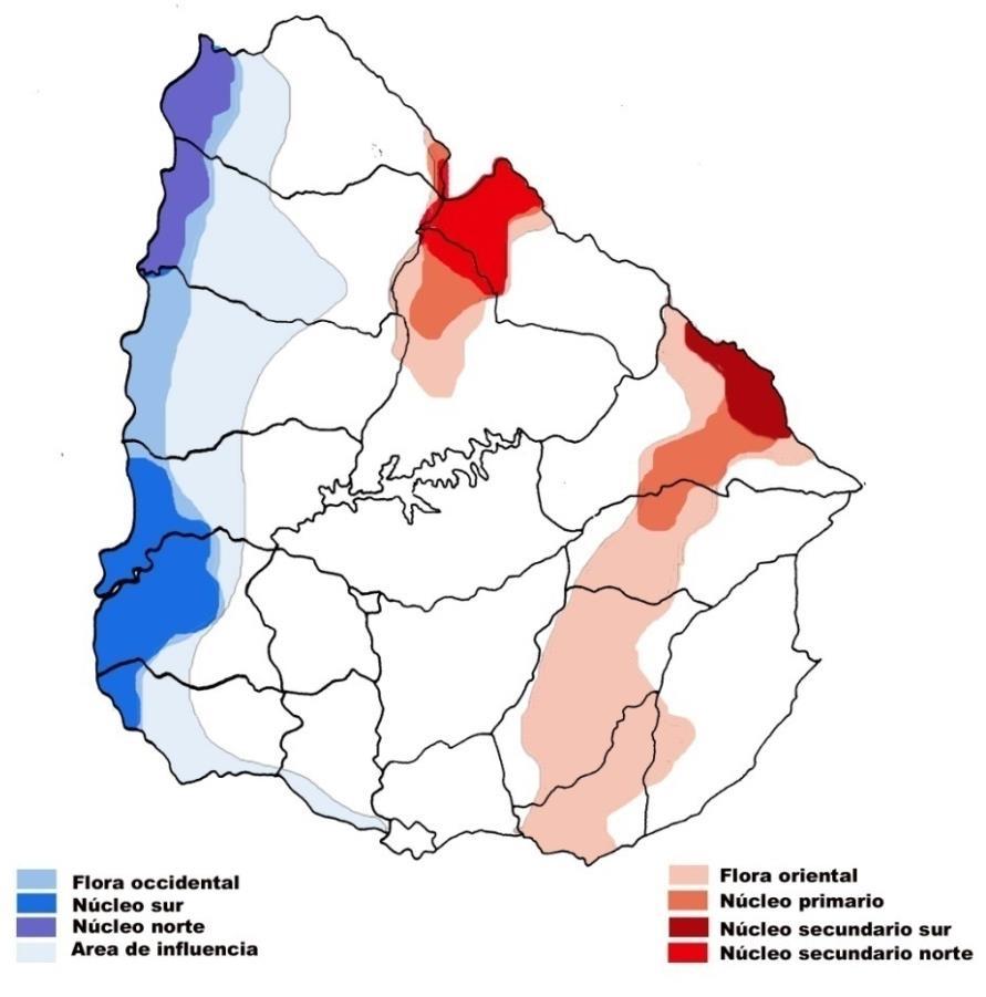 de distribución dendroflorística en Uruguay (Grela, 2004)