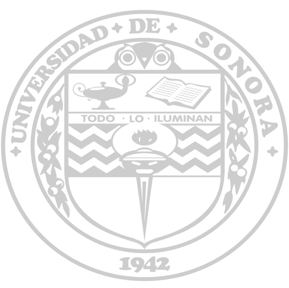 UNIVERSIDAD DE SONORA DEPARTAMENTO