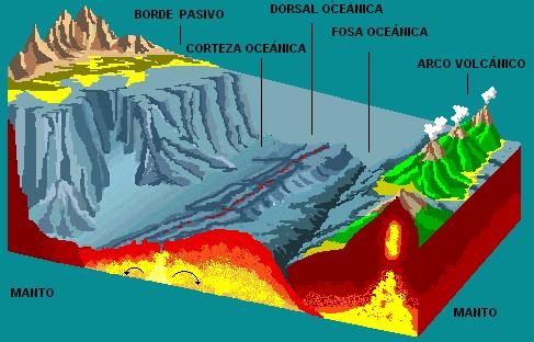 Figura 1: Dorsales oceánicas y las fosas abisales. Fuente: previa.uclm.