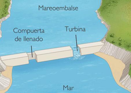 Marine renewable energy: solar, wind, wave and tidal Tidal Energy Energía