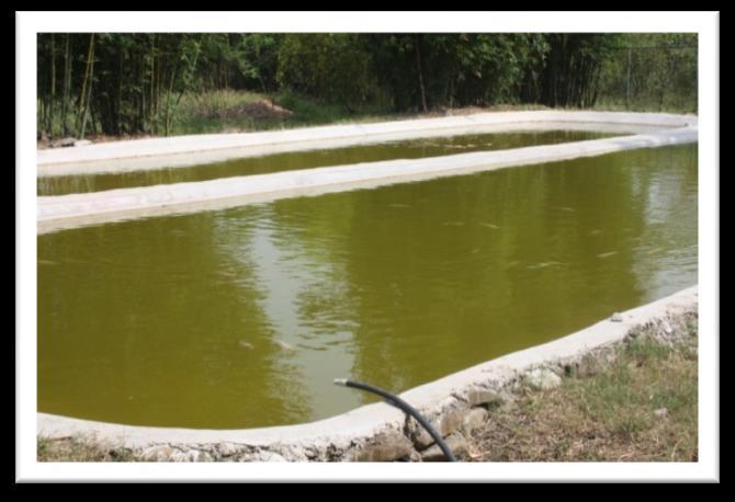Agua: Se mantiene un programa de gestión ambiental donde se establecen actividades para hacer un uso eficiente del agua en las instalaciones del ITSM, generando los siguientes resultados: Se diseña y