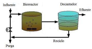 El proceso de fangos activados es un tratamiento de tipo biológico comúnmente usado en el tratamiento secundario de las aguas residuales industriales, que tiene como objetivo la eliminación de