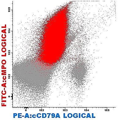 MPO, CD33 homogénea CD117 -/+ CD2 La