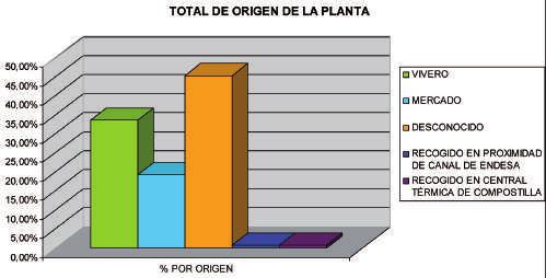 En términos relativos, el membrillo está mucho - Influencia del origen de la planta 2). Estos puntos de venta funcionan solamente en a los viveros de la zona, o de otras zonas como Galicia o Portugal.
