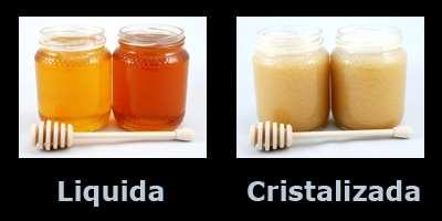 Características Principales de la Miel o Producida por las abejas a partir de