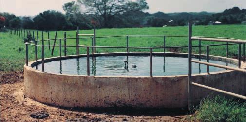 38 Las Instalaciones de Agua para Ganado consisten en el establecimiento de tanques, bebederos o piletas y las tuberías necesarias para almacenar y proveer agua al ganado en los predios seleccionados
