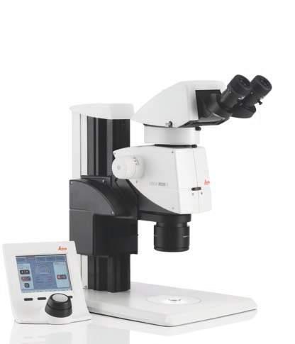 ajustes y análisis de un microscopio estereoscópico empleando cómodamente el ratón.
